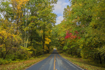 Картинка природа дороги тракт