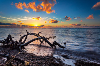 Картинка природа побережье берег море