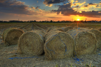 Картинка природа поля рассвет