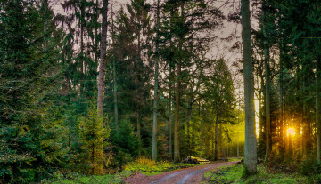 Картинка природа дороги тракт