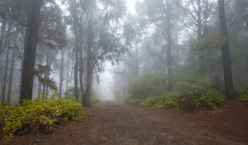 Картинка природа дороги тракт