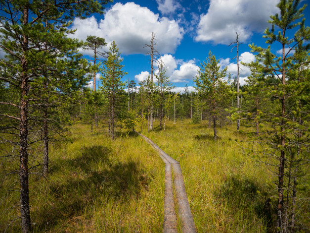 Обои картинки фото природа, дороги, тракт