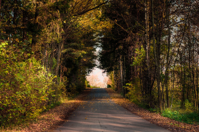 Обои картинки фото природа, дороги, тракт