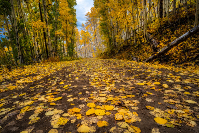 Обои картинки фото природа, дороги, тракт