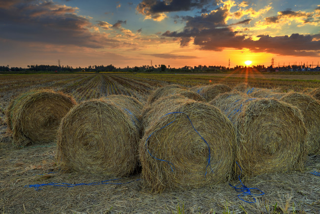 Обои картинки фото природа, поля, рассвет