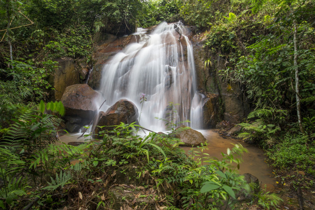 Обои картинки фото природа, водопады, лес, река, водопад