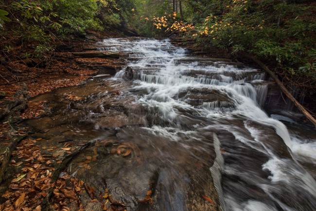 Обои картинки фото природа, водопады, водопад, лес, река