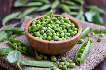 Картинка еда бобовые снедь