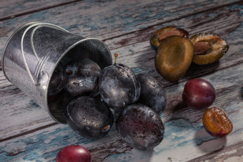 Картинка еда персики +сливы +абрикосы снедь