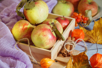 Картинка еда Яблоки снедь