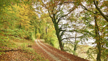 Картинка природа дороги простор