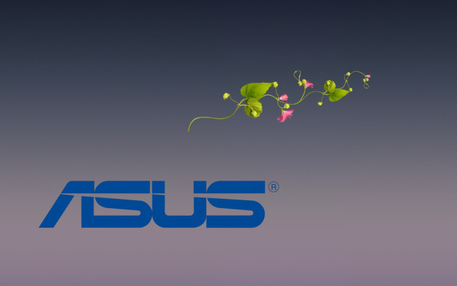 Обои картинки фото компьютеры, asus, цветы, фон, логотип
