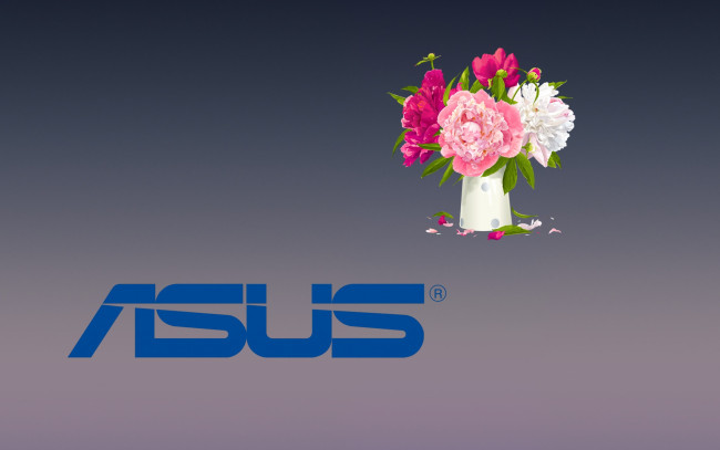 Обои картинки фото компьютеры, asus, логотип, фон, цветы