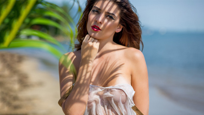 Обои картинки фото девушки, alana alexandrino, alana, alexandrino