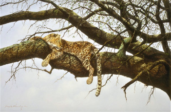 Картинка рисованное животные +ягуары +леопарды леопард ветки