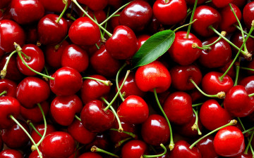 Картинка еда вишня +черешня ягоды вишни много