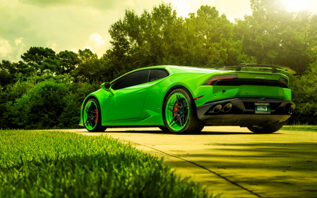 Обои картинки фото автомобили, lamborghini, зеленый, дорога, лужайка, деревья