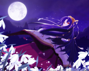 Картинка аниме *unknown другое