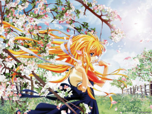 Картинка аниме air