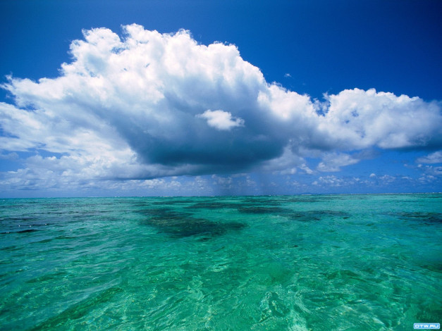 Обои картинки фото 