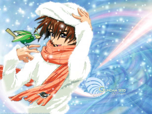 Картинка аниме gundam seed