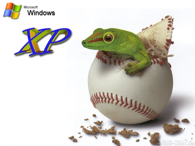 Обои картинки фото компьютеры, windows, xp