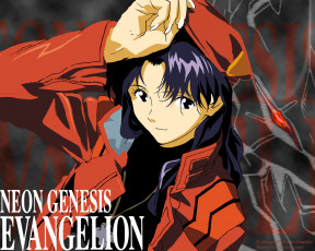 Картинка аниме evangelion