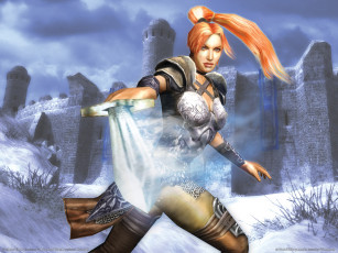 Картинка видео игры dungeon siege ii