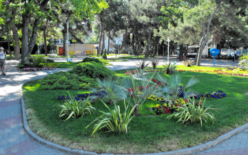 Картинка природа парк