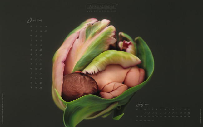 Обои картинки фото календари, дети