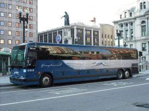 Картинка автомобили автобусы