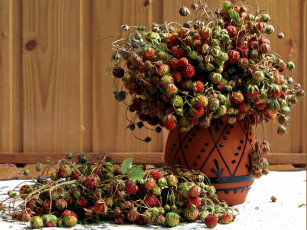 Картинка elena ta Ягодный букет еда клубника земляника