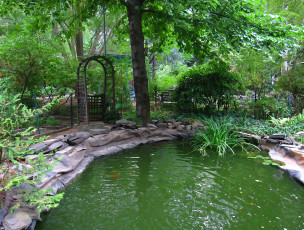 Картинка природа парк пруд