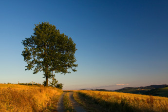 Картинка природа дороги