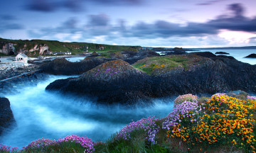 Картинка природа побережье