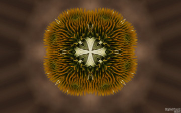 Картинка 3д графика fractal фракталы