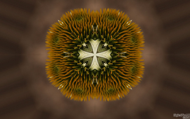 Обои картинки фото 3д, графика, fractal, фракталы