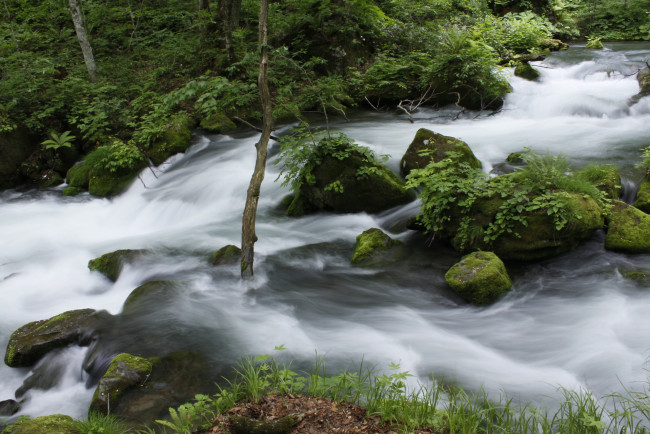 Обои картинки фото природа, реки, озера, камни, трава, вода