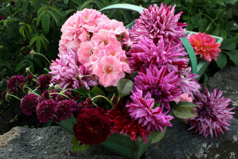 Картинка цветы разные вместе корзина букет георгины