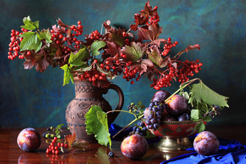 Картинка еда натюрморт сливы калина кувшин ежевика виноград