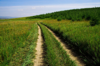 Картинка природа дороги облака поле