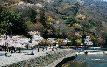 Картинка природа побережье отдых речка горы