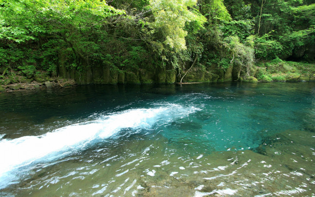 Обои картинки фото природа, реки, озера, деревья, река