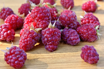 Картинка еда малина ягоды