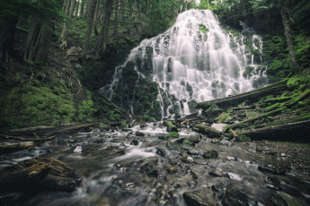 Картинка природа водопады река водопад лес