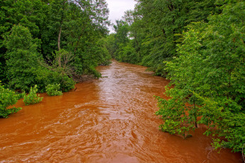 Картинка природа реки озера лес река