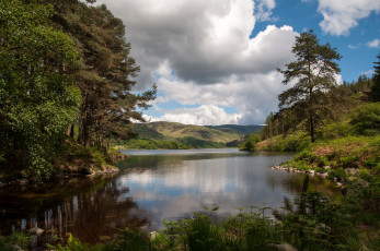 Картинка природа реки озера холмы лес река