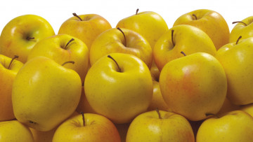 обоя еда, Яблоки, желтые
