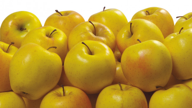 Обои картинки фото еда, Яблоки, желтые