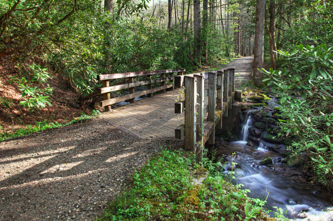 Обои картинки фото природа, дороги, мостик, ручей, лес, дорожка